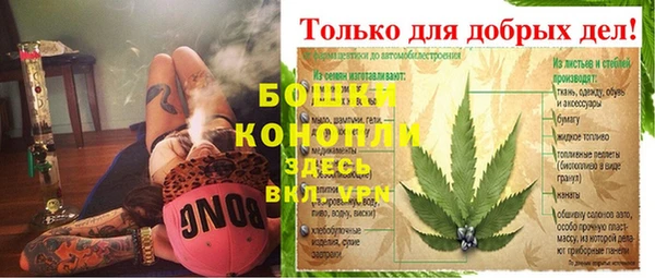 МДПВ Богородск