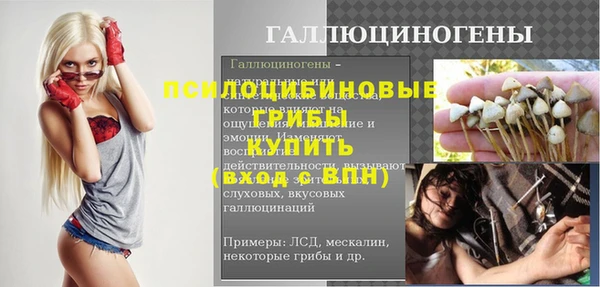 МДПВ Богородск