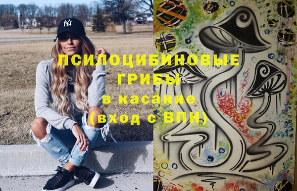МДПВ Богданович