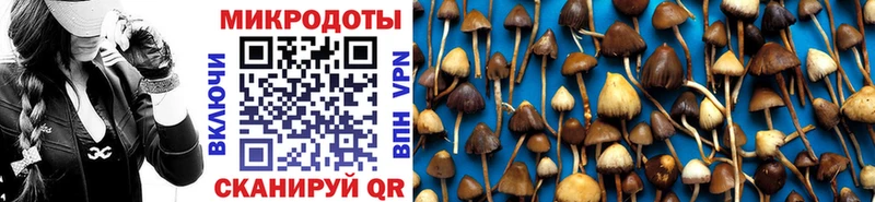 Галлюциногенные грибы GOLDEN TEACHER  Купить закладки  Кувандык 